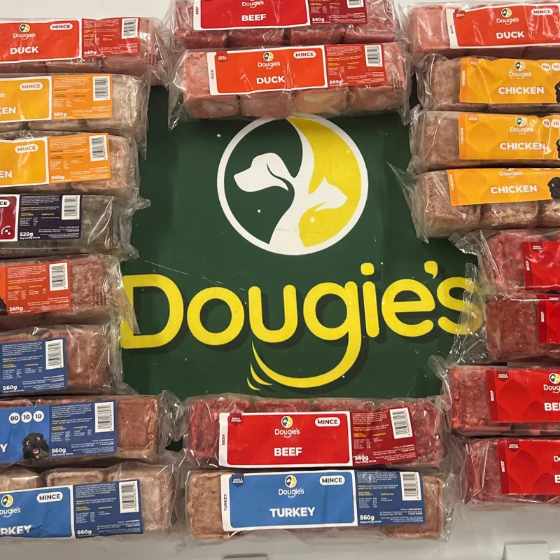 Pet Supplies Affordable Raw Food For Dogs Cheap Raw Dog Food Box