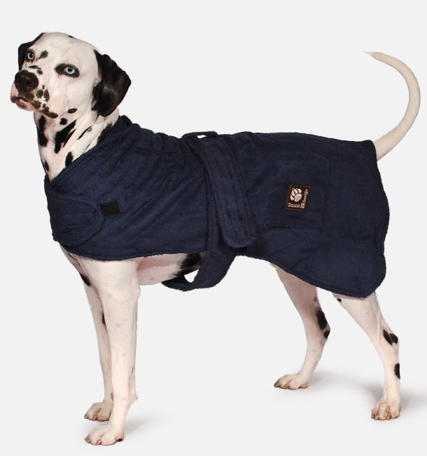 Spuds dog best sale coats