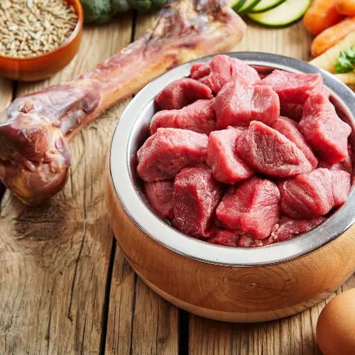 Bowl of Raw Dog food Bowl of premium Raw Dog food