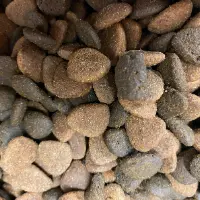 Grain Free Dog Food